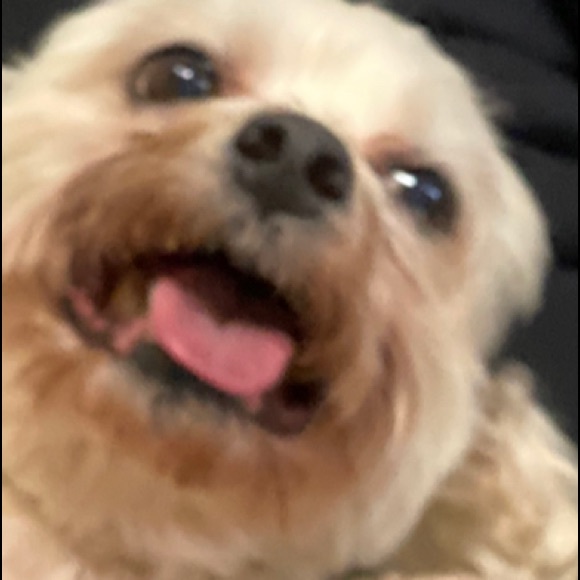 Meet your Posher, Colin - Picture 1 of 1